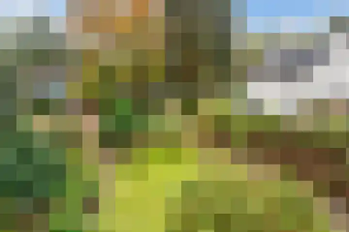 Eikenlaan 5 Maarn thumbnail 38
