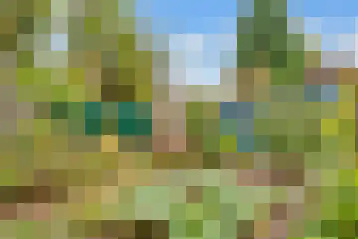 Eikenlaan 5 Maarn thumbnail 40