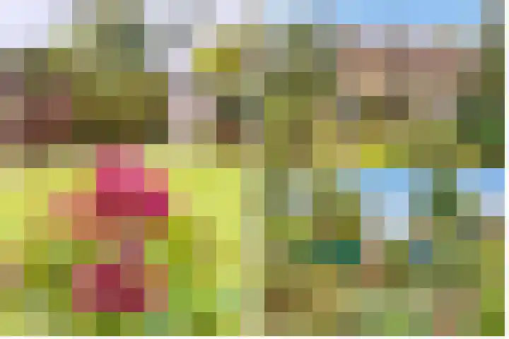Eikenlaan 5 Maarn thumbnail 42