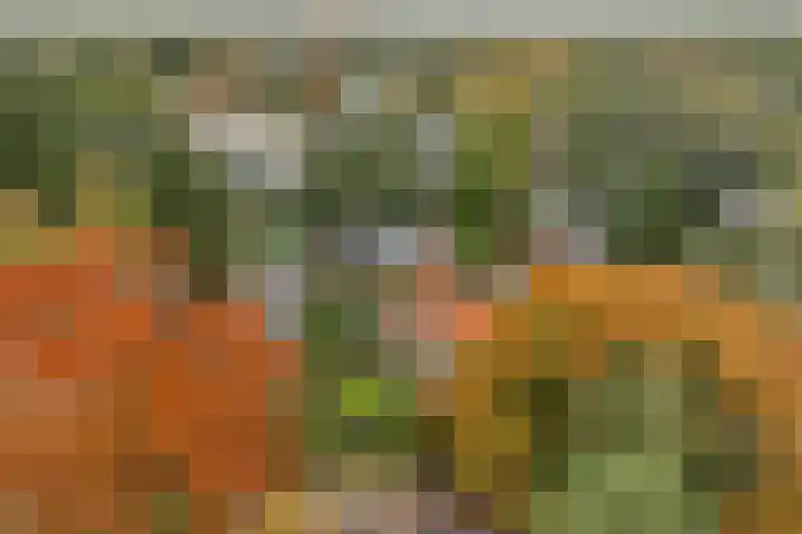 Eikenlaan 5 Maarn thumbnail 43