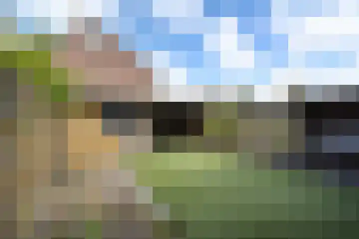 Eikenlaan 5 's-Gravenzande thumbnail 29