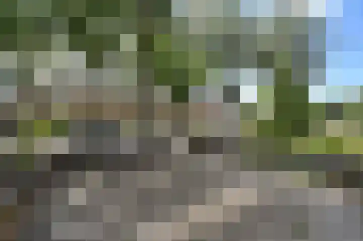 Eikenlaan 5 's-Gravenzande thumbnail 32