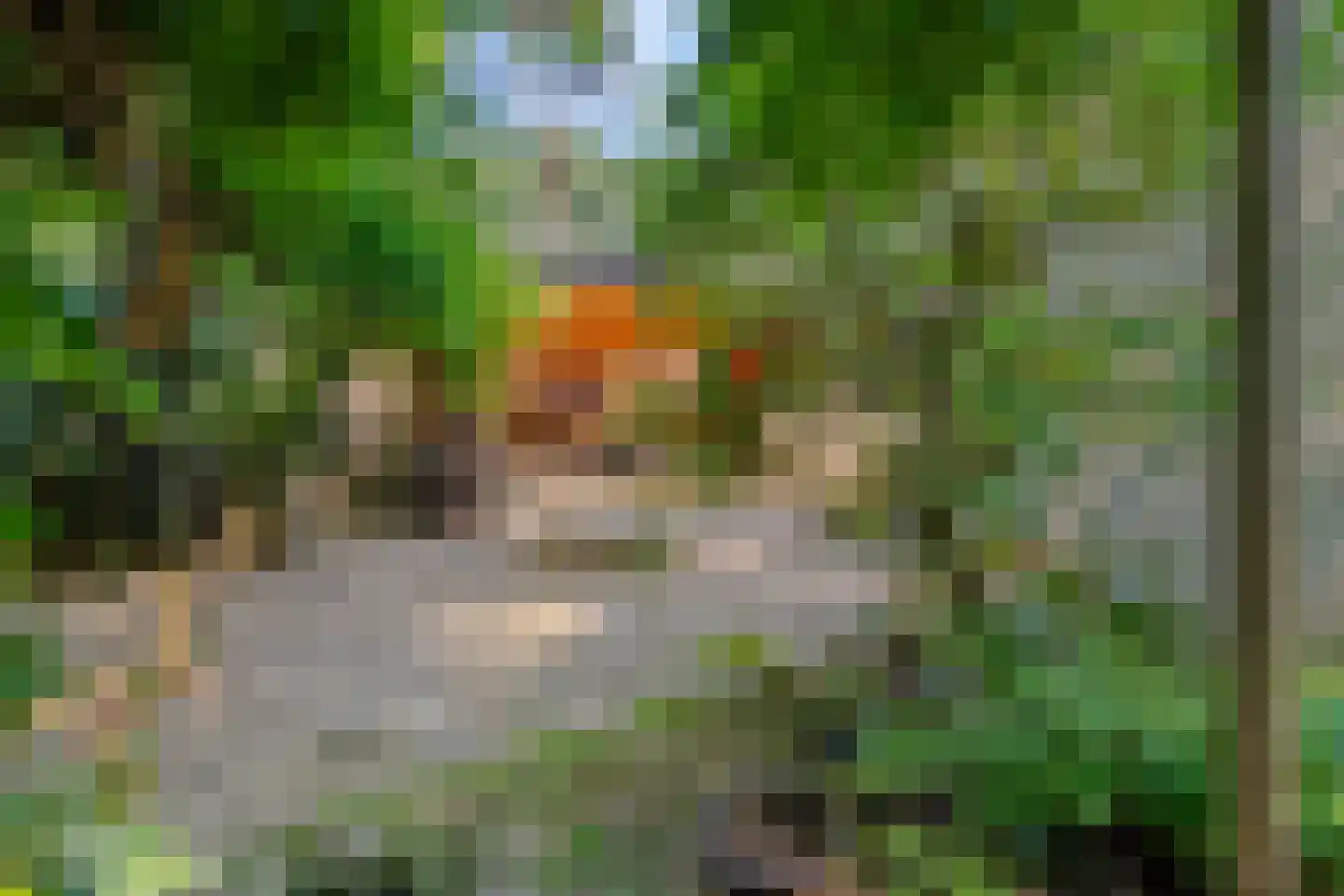 Eikenlaan 5 Velden thumbnail 27