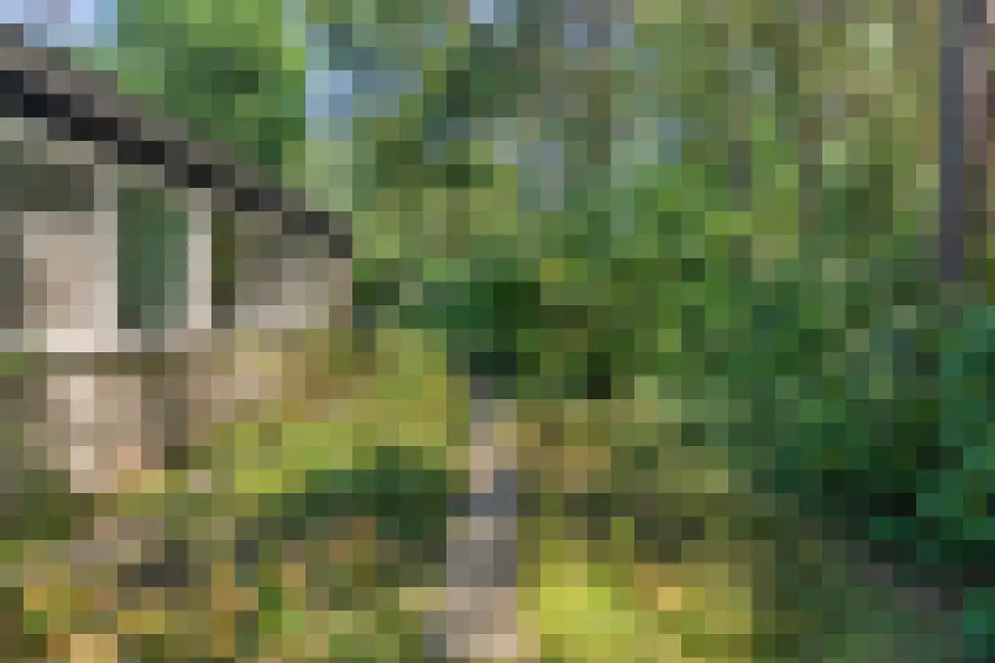 Eikenlaan 5 Velden thumbnail 29