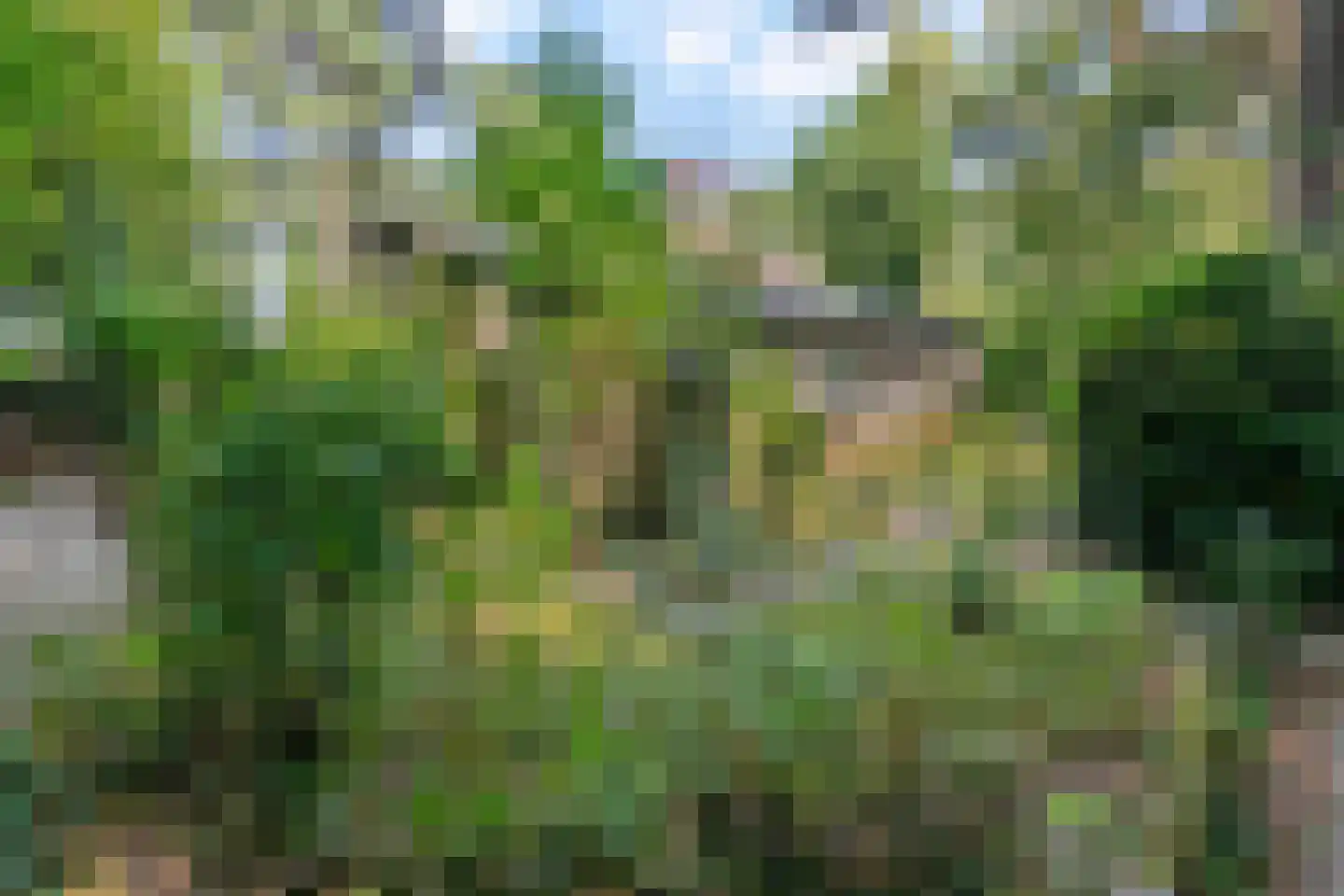 Eikenlaan 5 Velden thumbnail 30