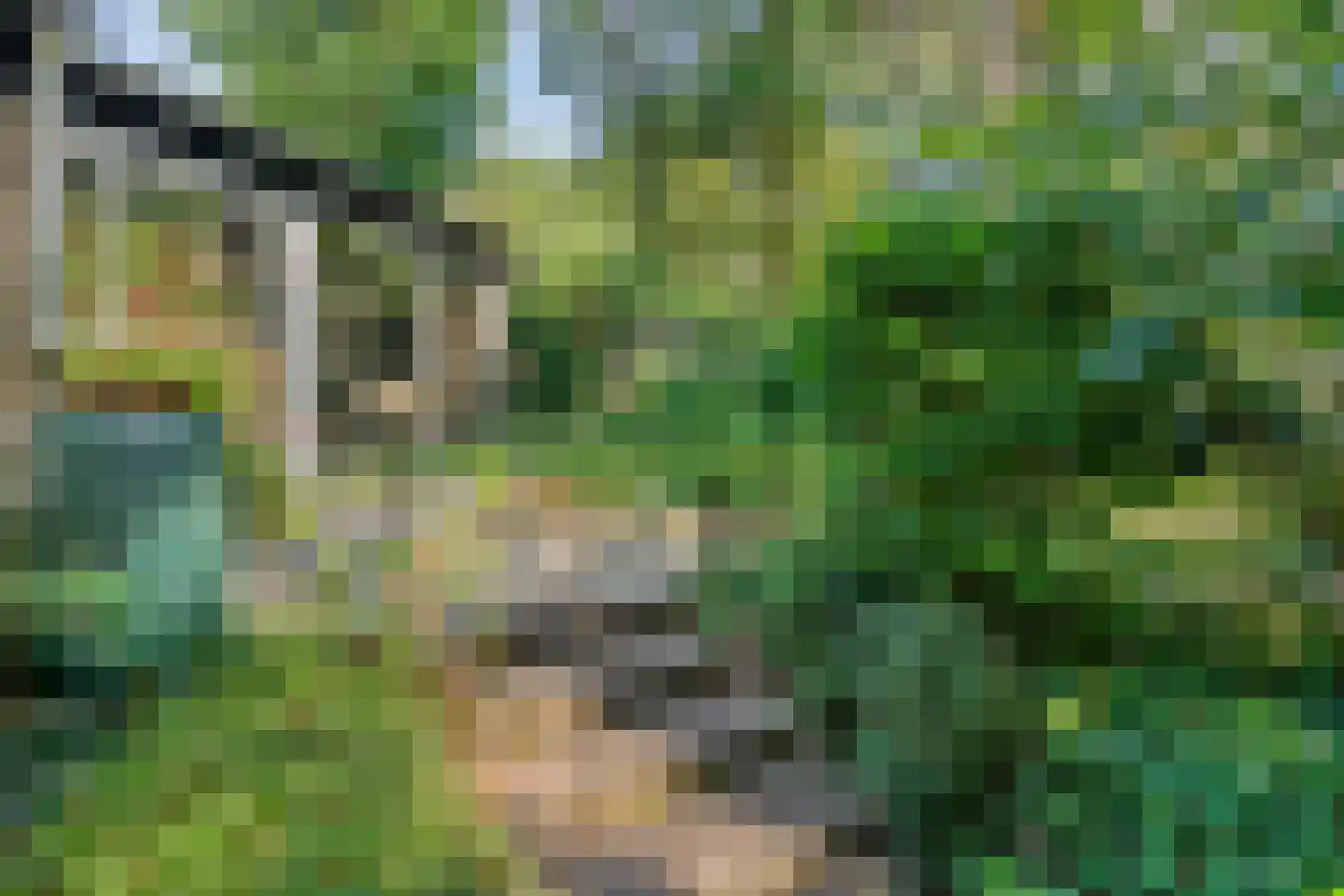 Eikenlaan 5 Velden thumbnail 31