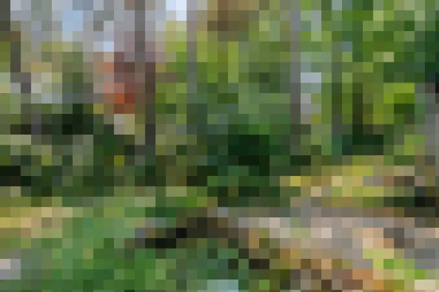 Eikenlaan 5 Velden thumbnail 32
