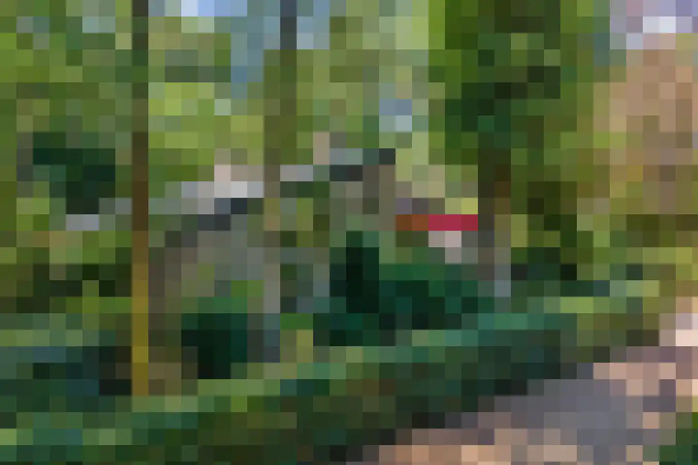 Eikenlaan 5 Velden thumbnail 33