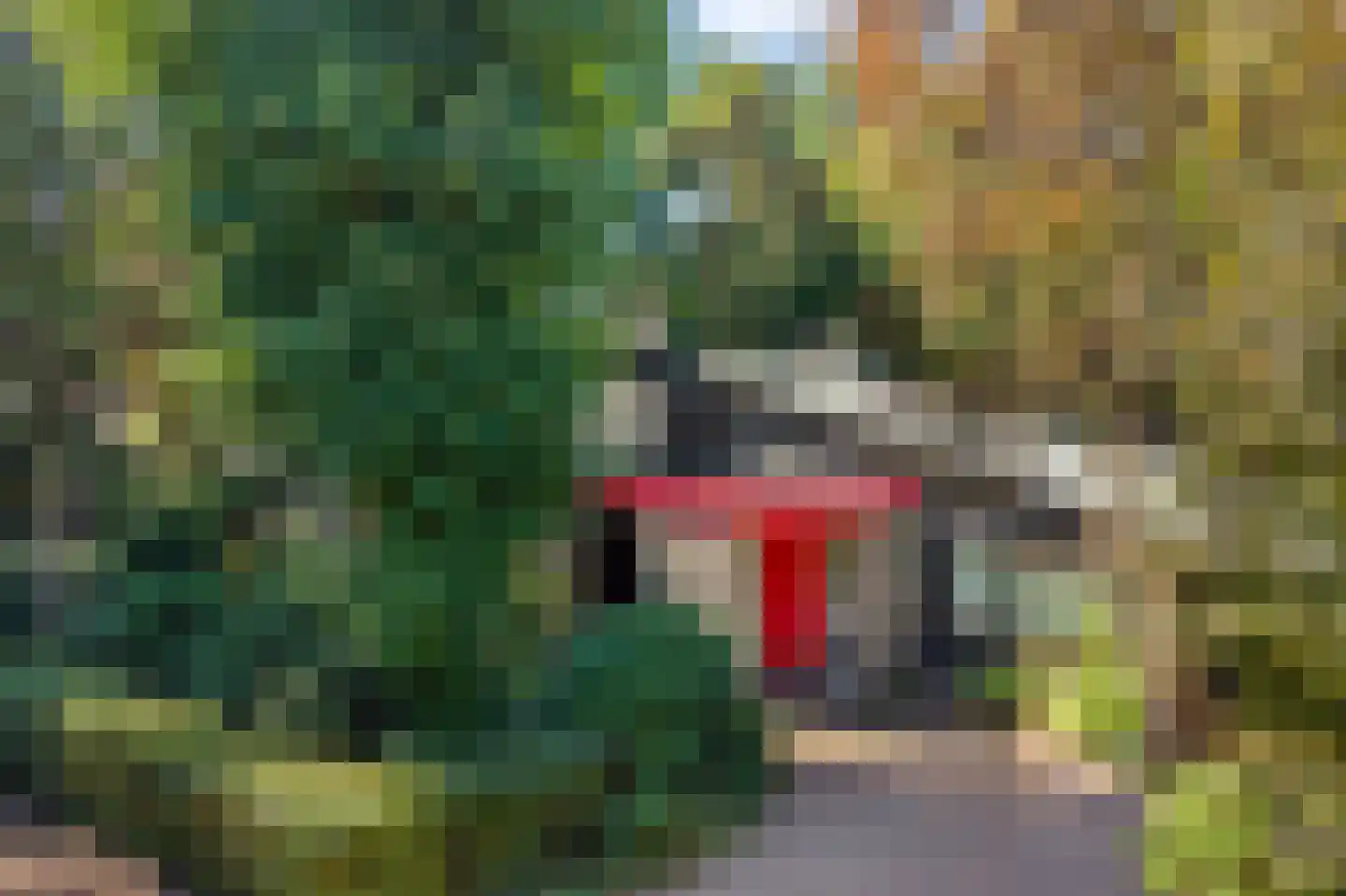 Eikenlaan 5 Velden thumbnail 34
