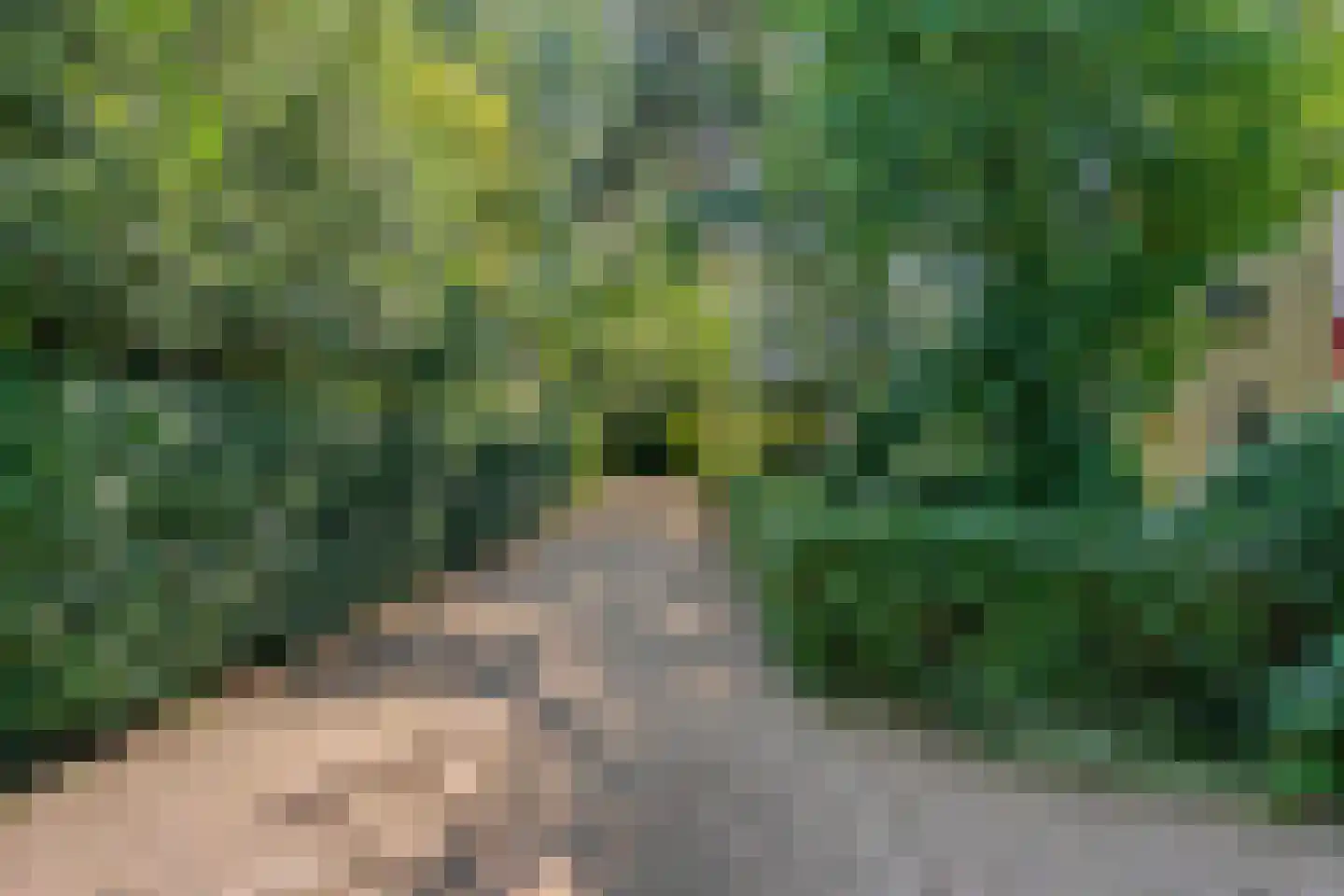 Eikenlaan 5 Velden thumbnail 35