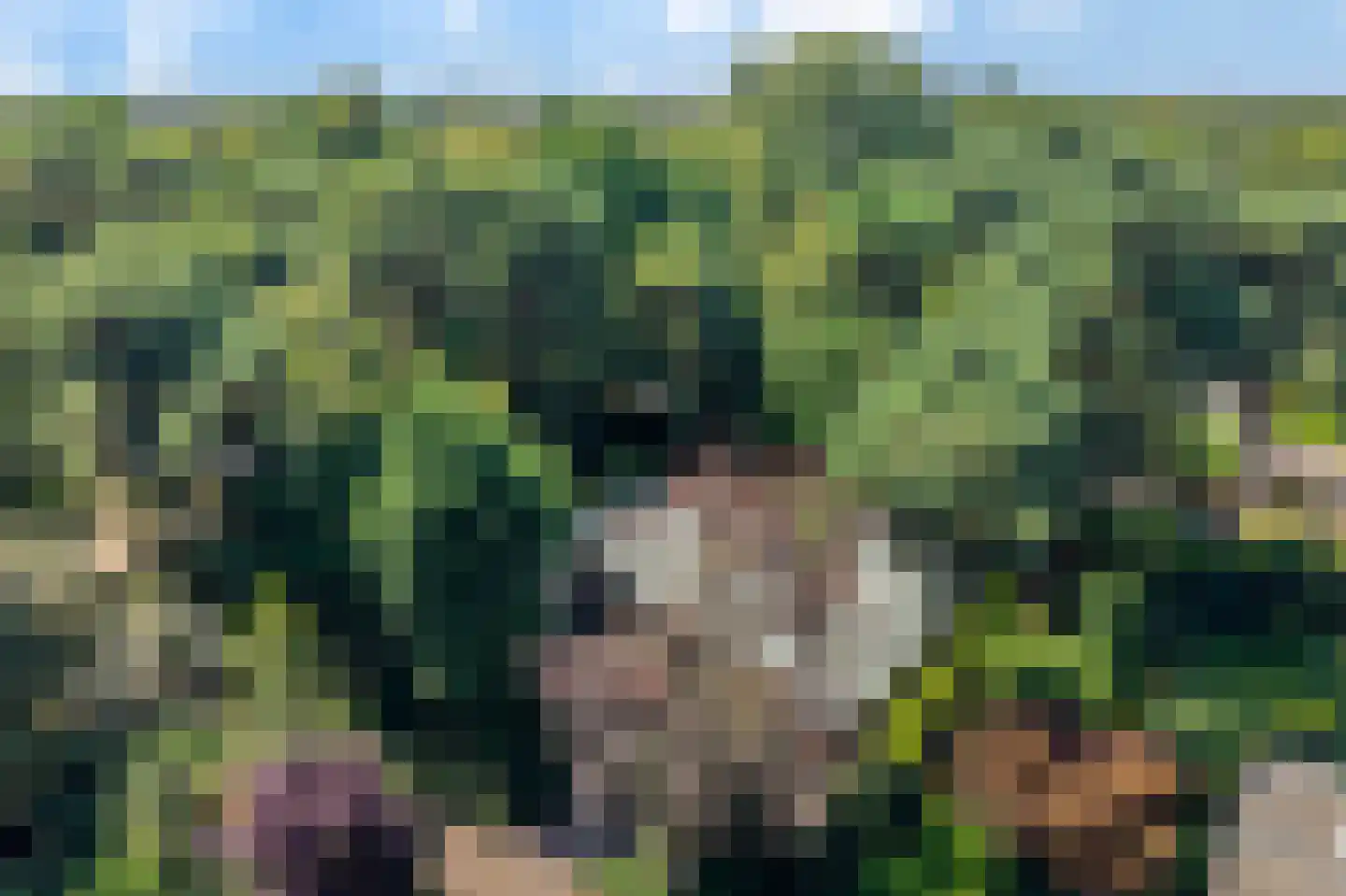 Eikenlaan 5 Velden thumbnail 36