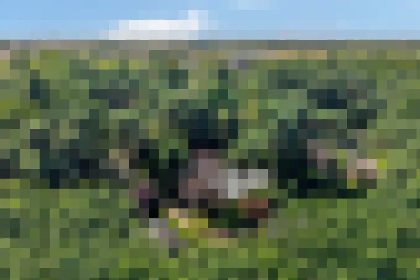 Eikenlaan 5 Velden thumbnail 38