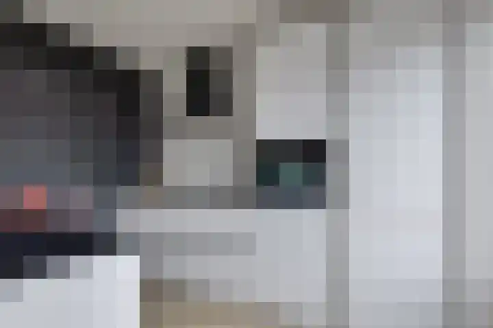 Eikenlaan 50 Borculo thumbnail 10