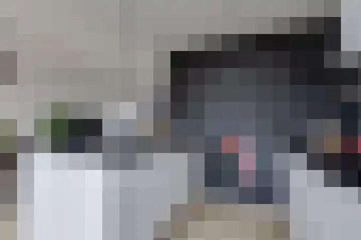 Eikenlaan 50 Borculo thumbnail 11