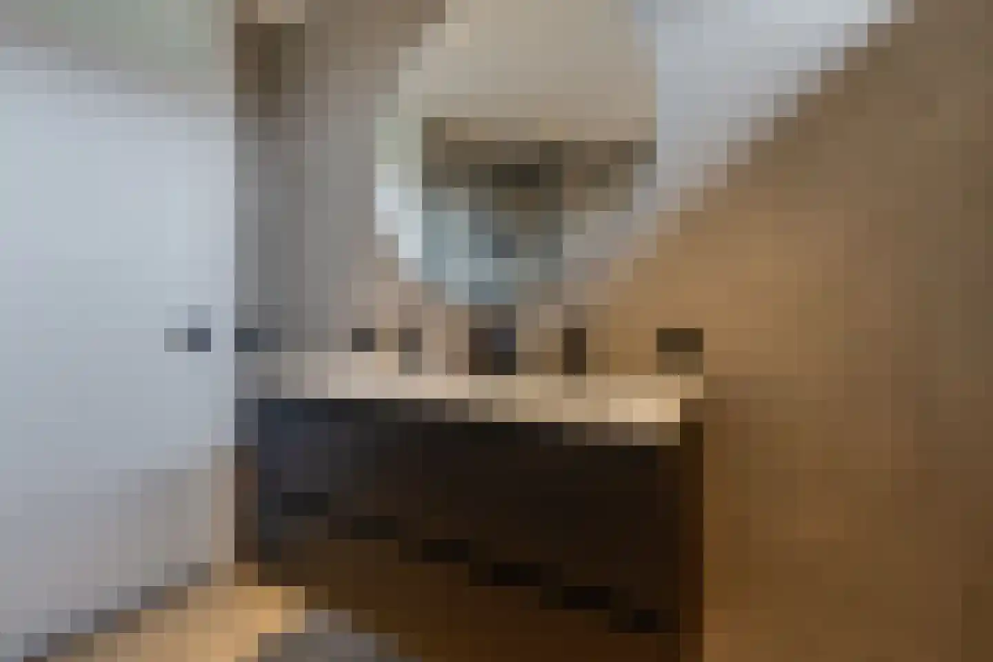 Eikenlaan 50 Borculo thumbnail 24