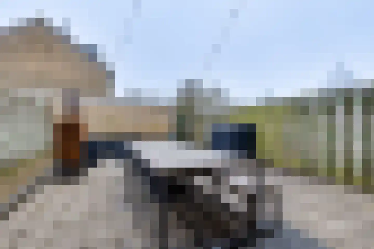Eikenlaan 50 Borculo thumbnail 29