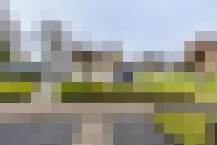 Eikenlaan 50 Borculo thumbnail 35