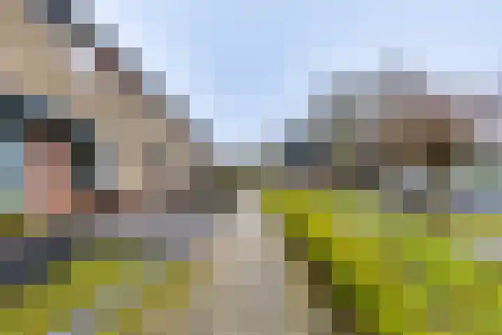 Eikenlaan 50 Borculo thumbnail 36