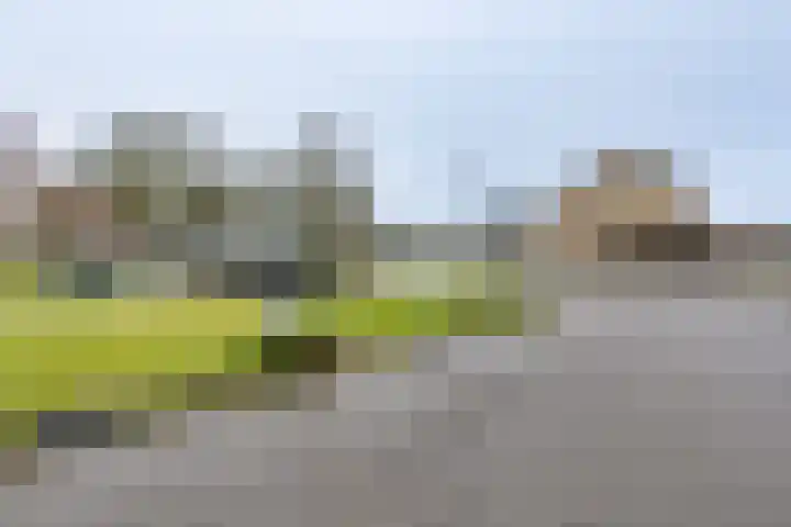 Eikenlaan 50 Borculo thumbnail 38