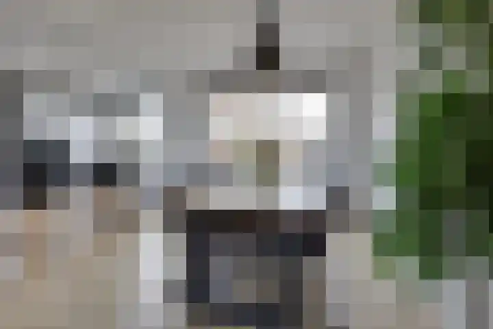 Eikenlaan 50 Borculo thumbnail 7