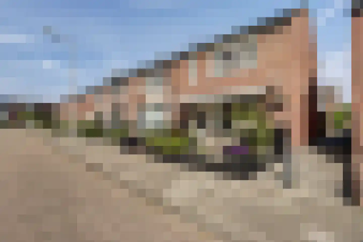 Eikenlaan 51 's-Gravenzande thumbnail 12