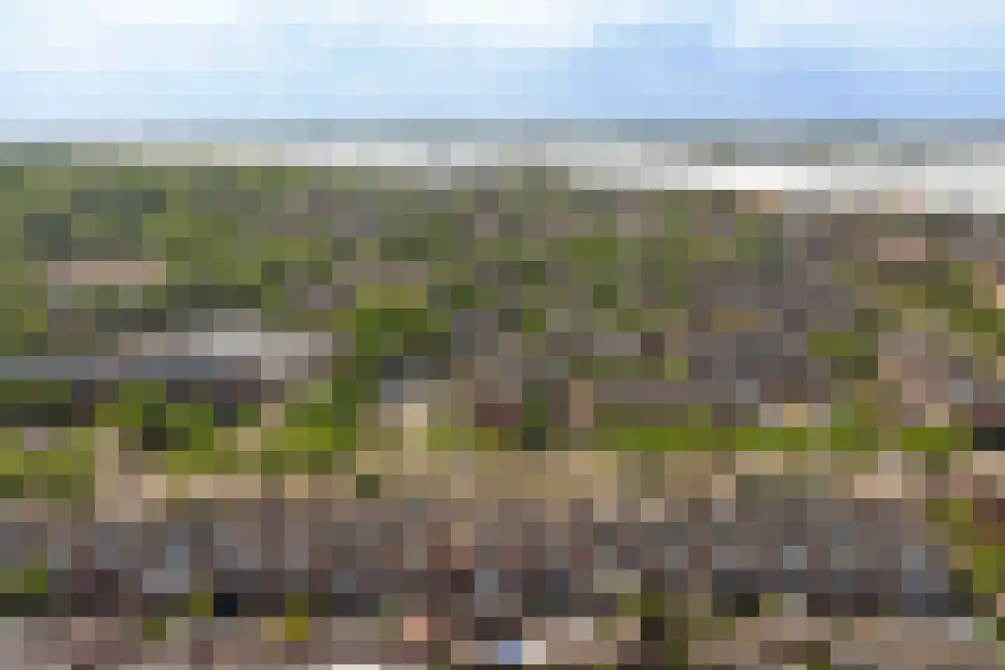 Eikenlaan 51 's-Gravenzande thumbnail 53