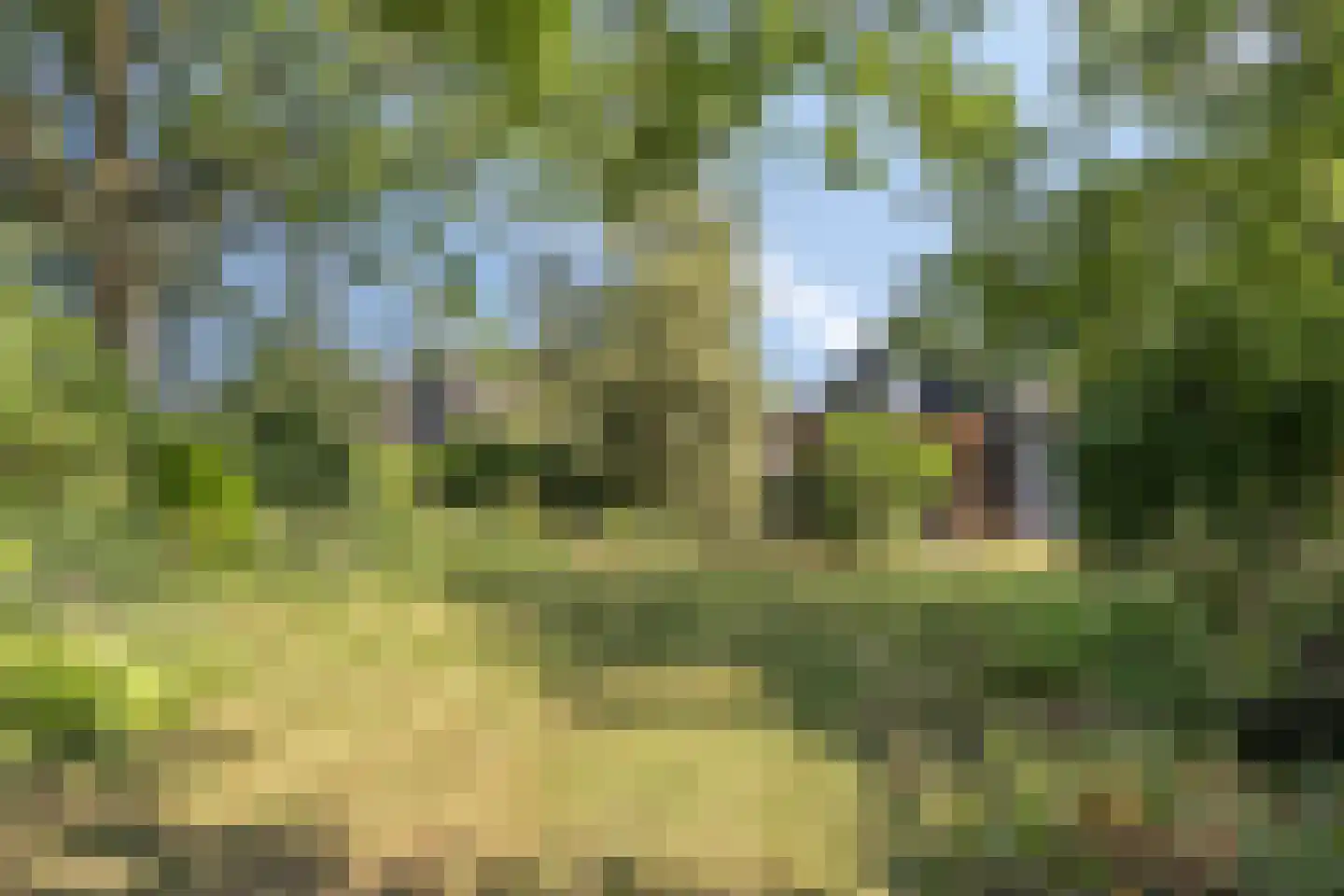Eikenlaan 53 Koewacht thumbnail 32