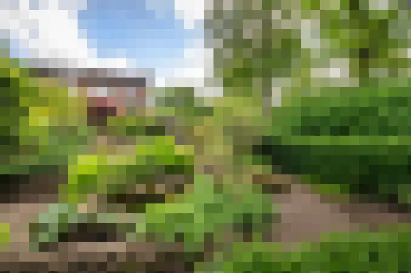 Eikenlaan 54 h Eibergen thumbnail 33
