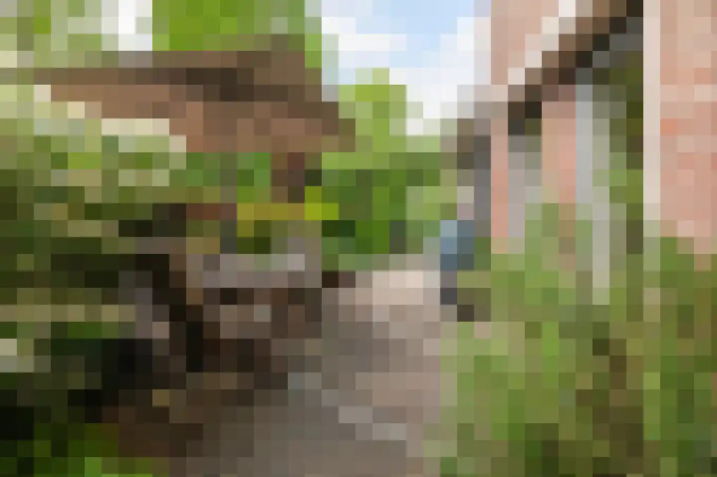 Eikenlaan 54 h Eibergen thumbnail 36