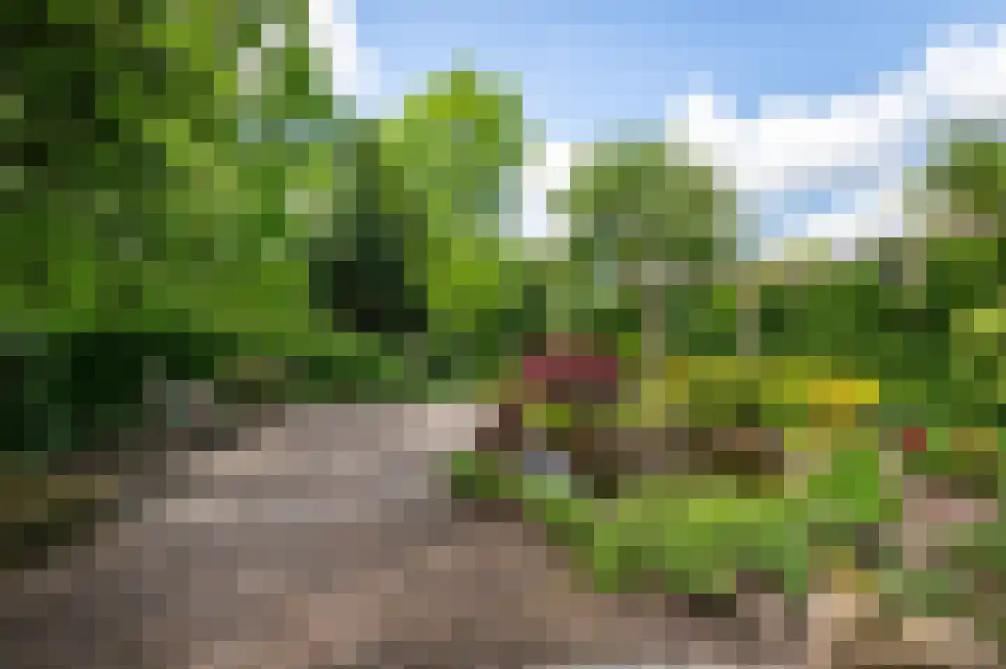 Eikenlaan 54 h Eibergen thumbnail 37