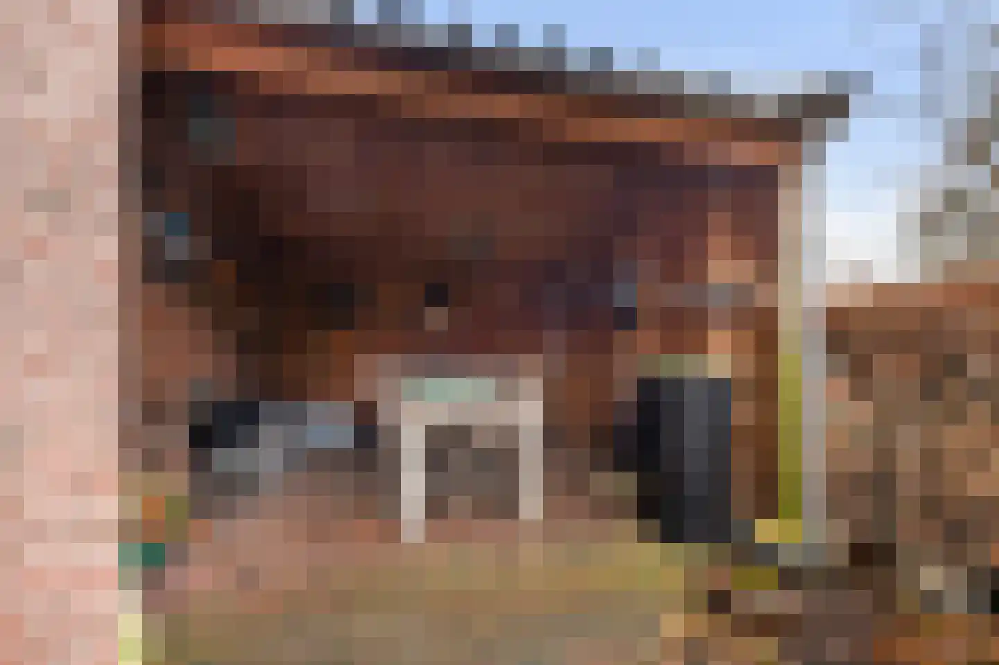 Eikenlaan 54 h Eibergen thumbnail 37