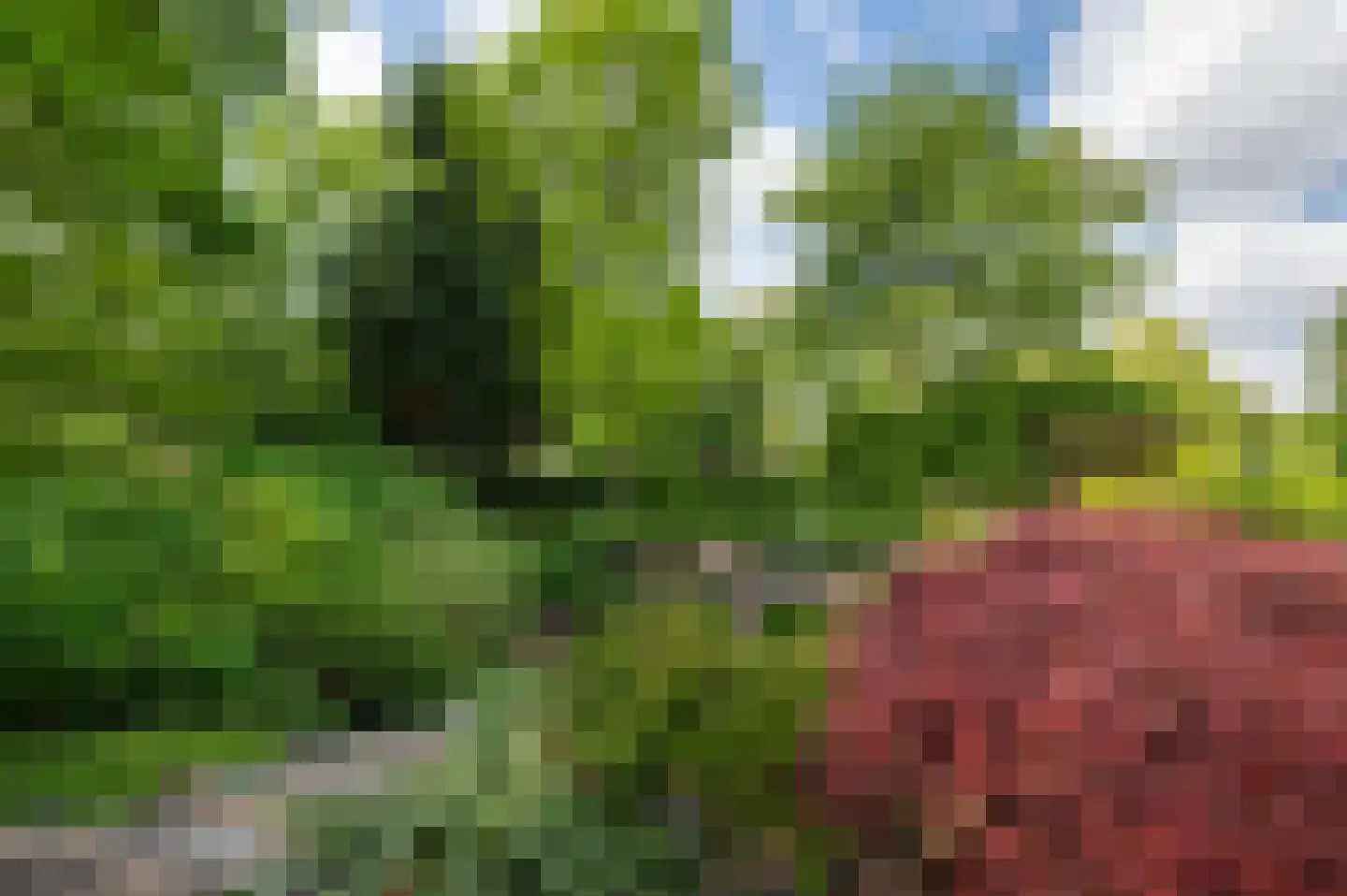 Eikenlaan 54 h Eibergen thumbnail 38