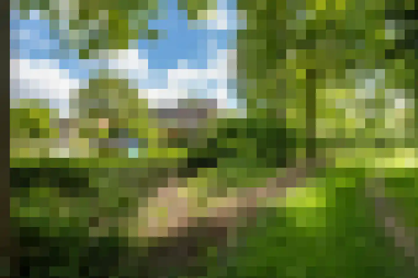Eikenlaan 54 h Eibergen thumbnail 41