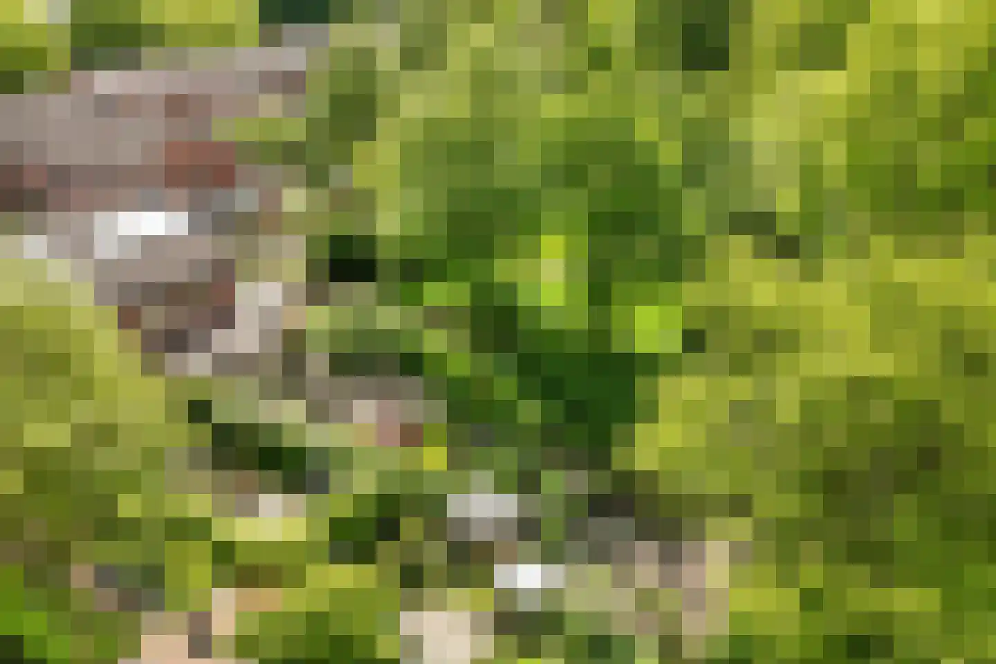 Eikenlaan 54 h Eibergen thumbnail 42