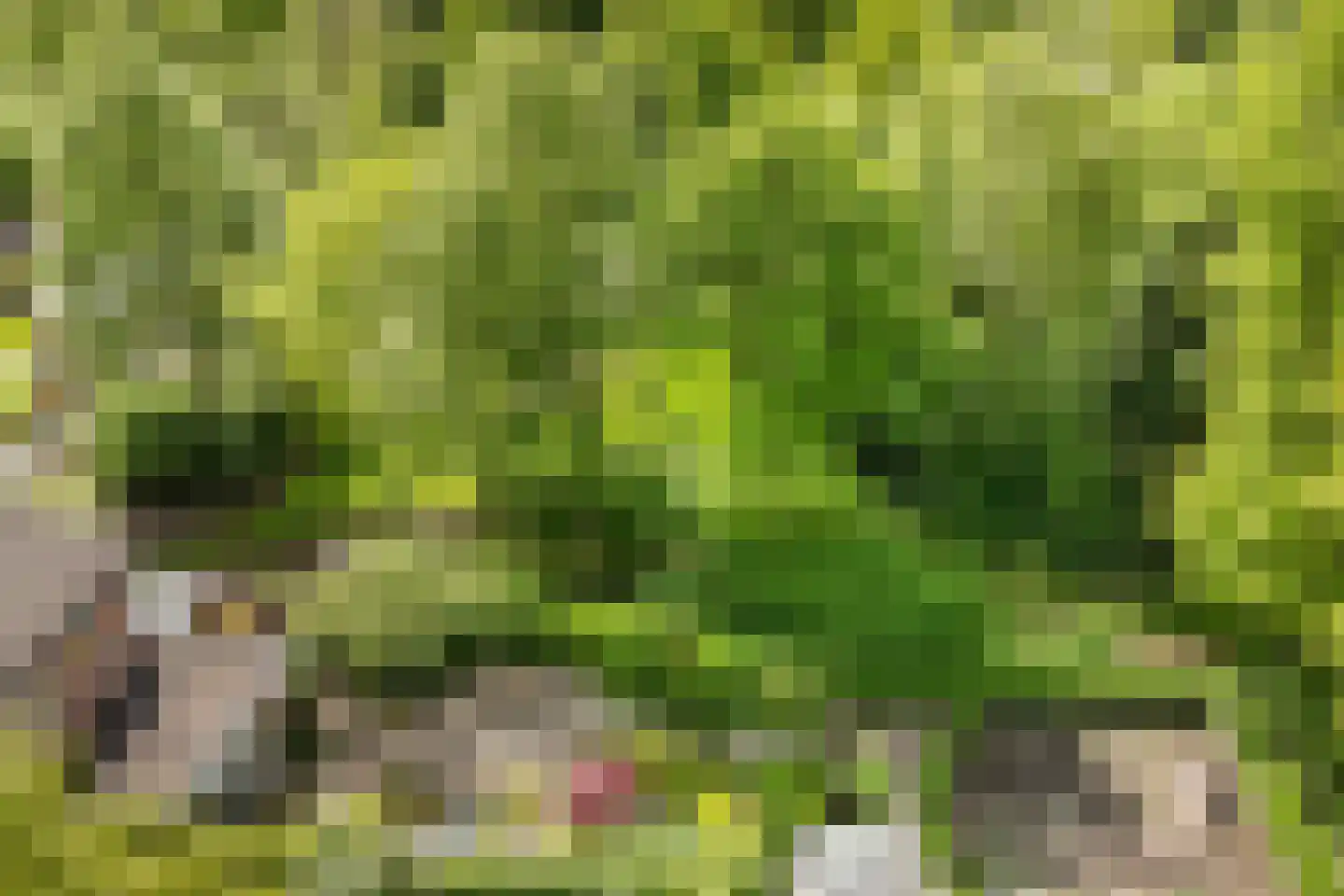 Eikenlaan 54 h Eibergen thumbnail 43