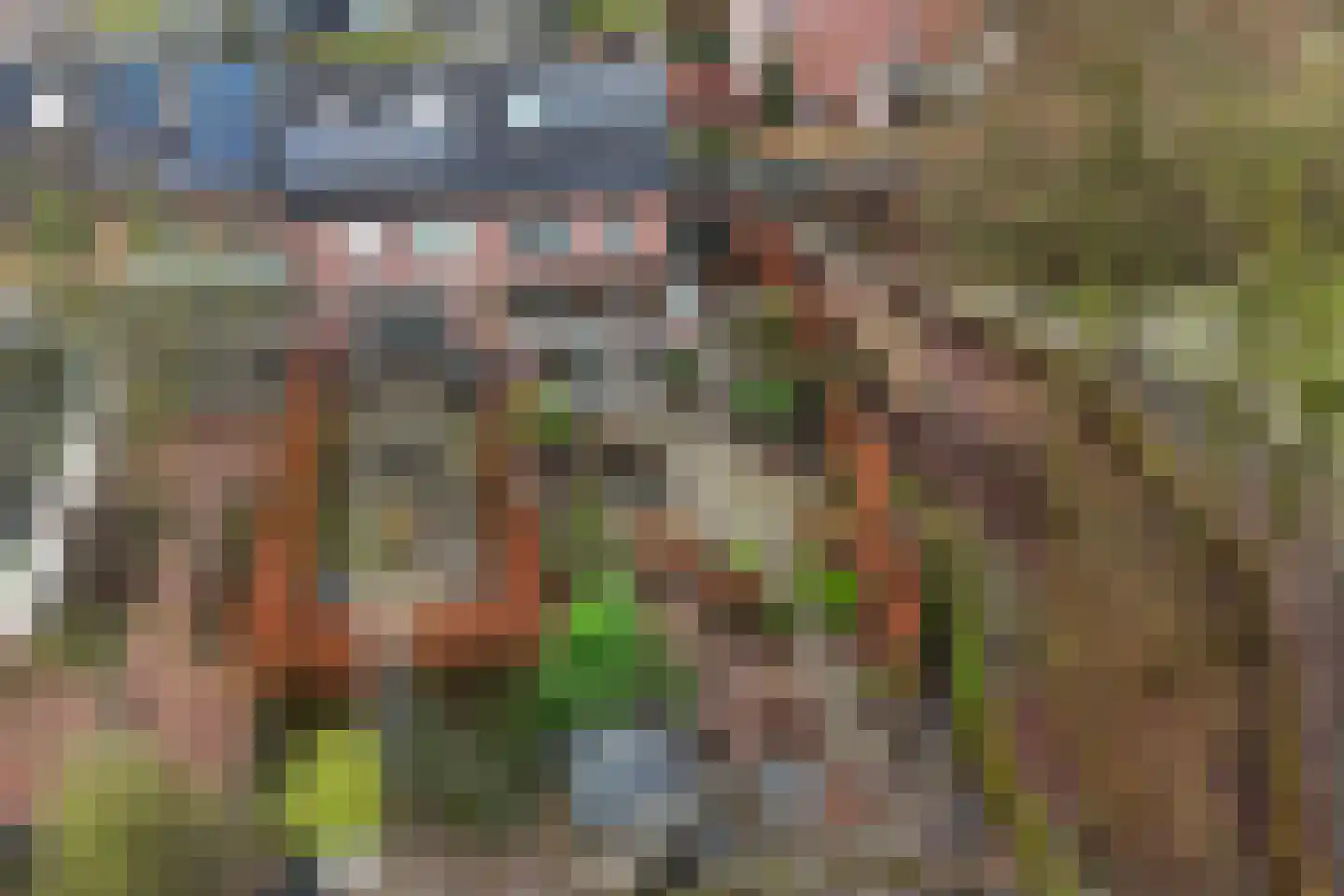 Eikenlaan 54 h Eibergen thumbnail 43