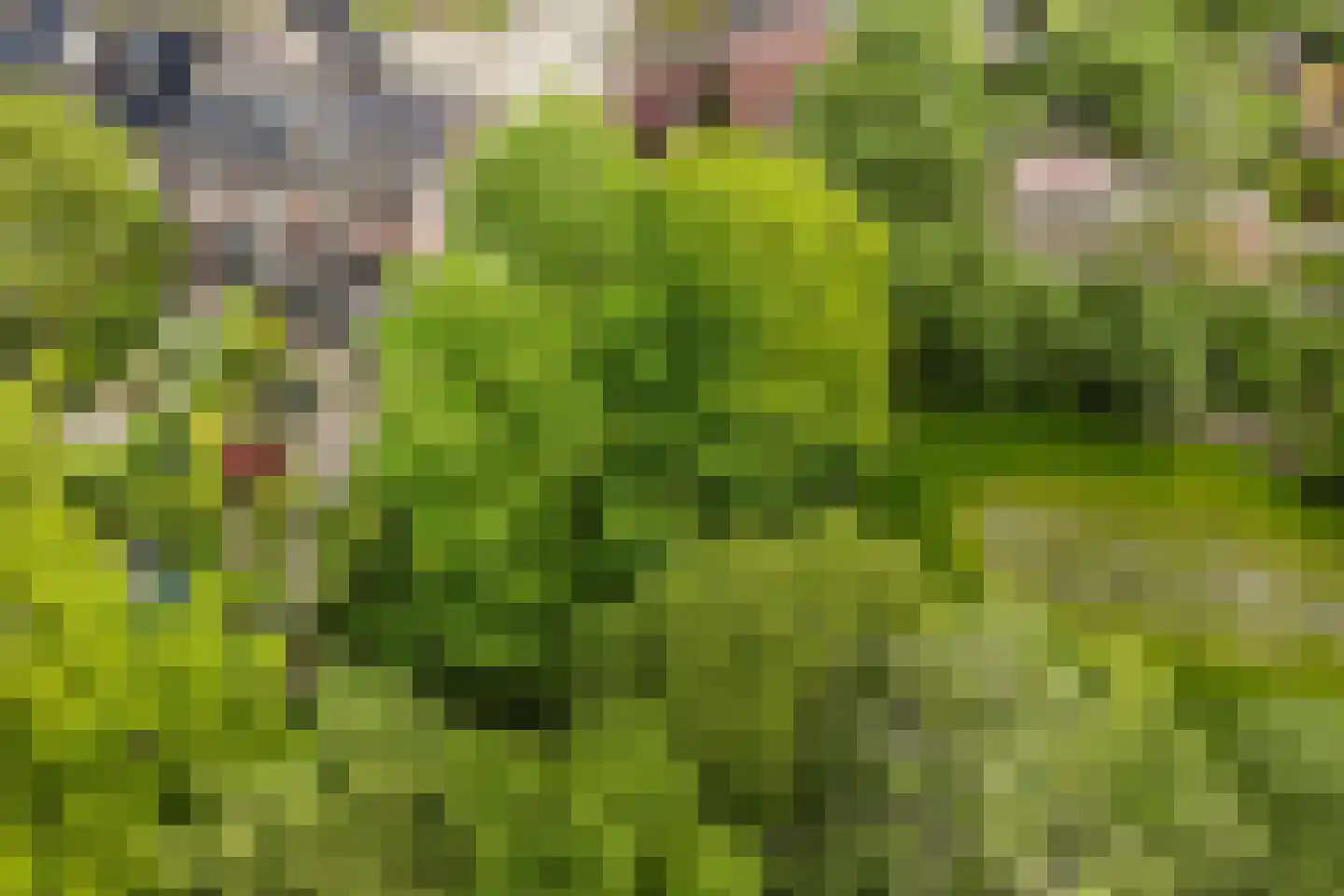 Eikenlaan 54 h Eibergen thumbnail 44