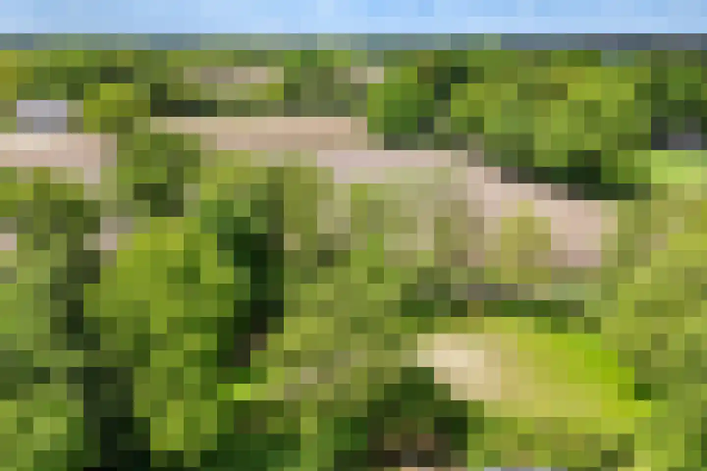 Eikenlaan 54 h Eibergen thumbnail 50