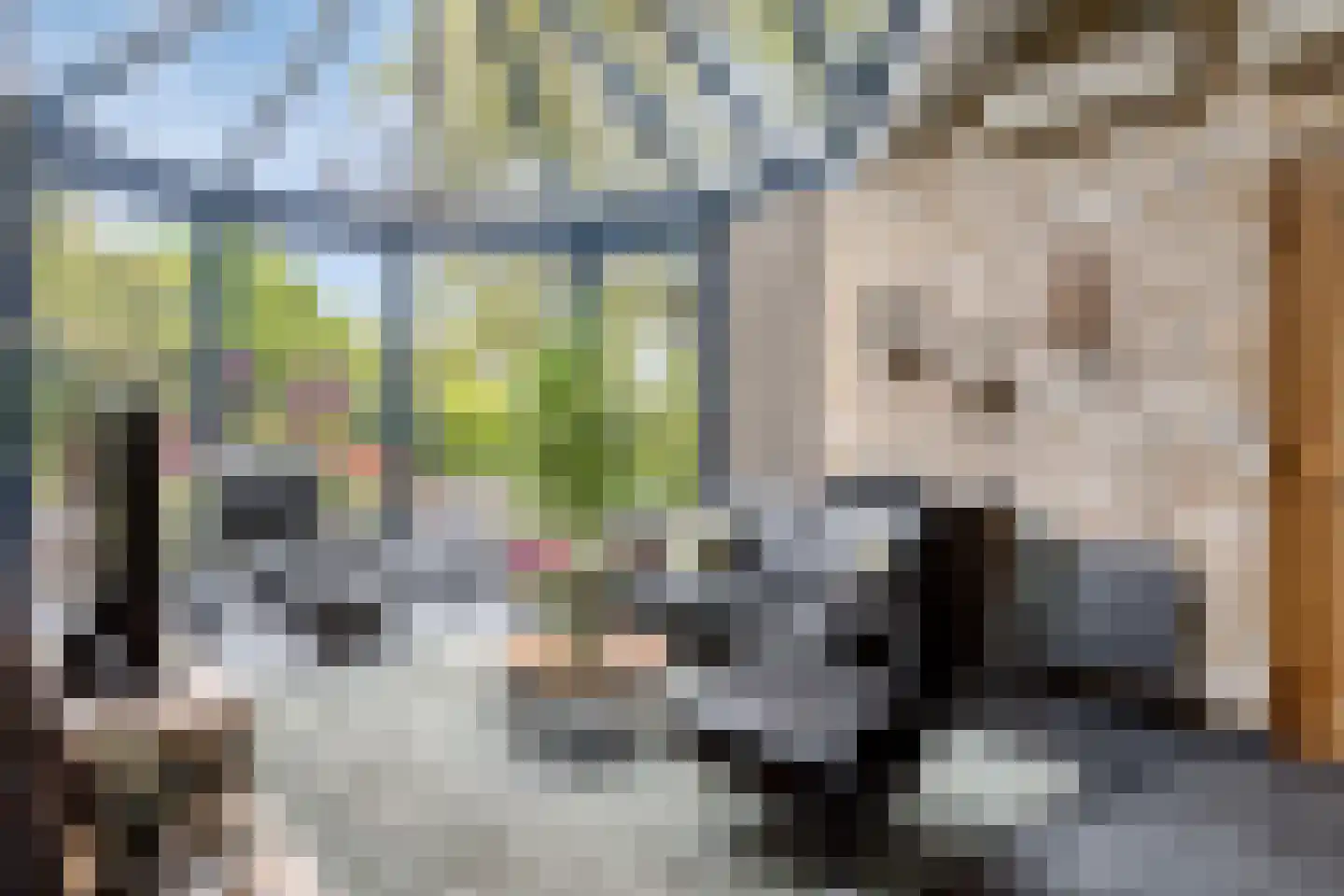 Eikenlaan 54 Koewacht thumbnail 18