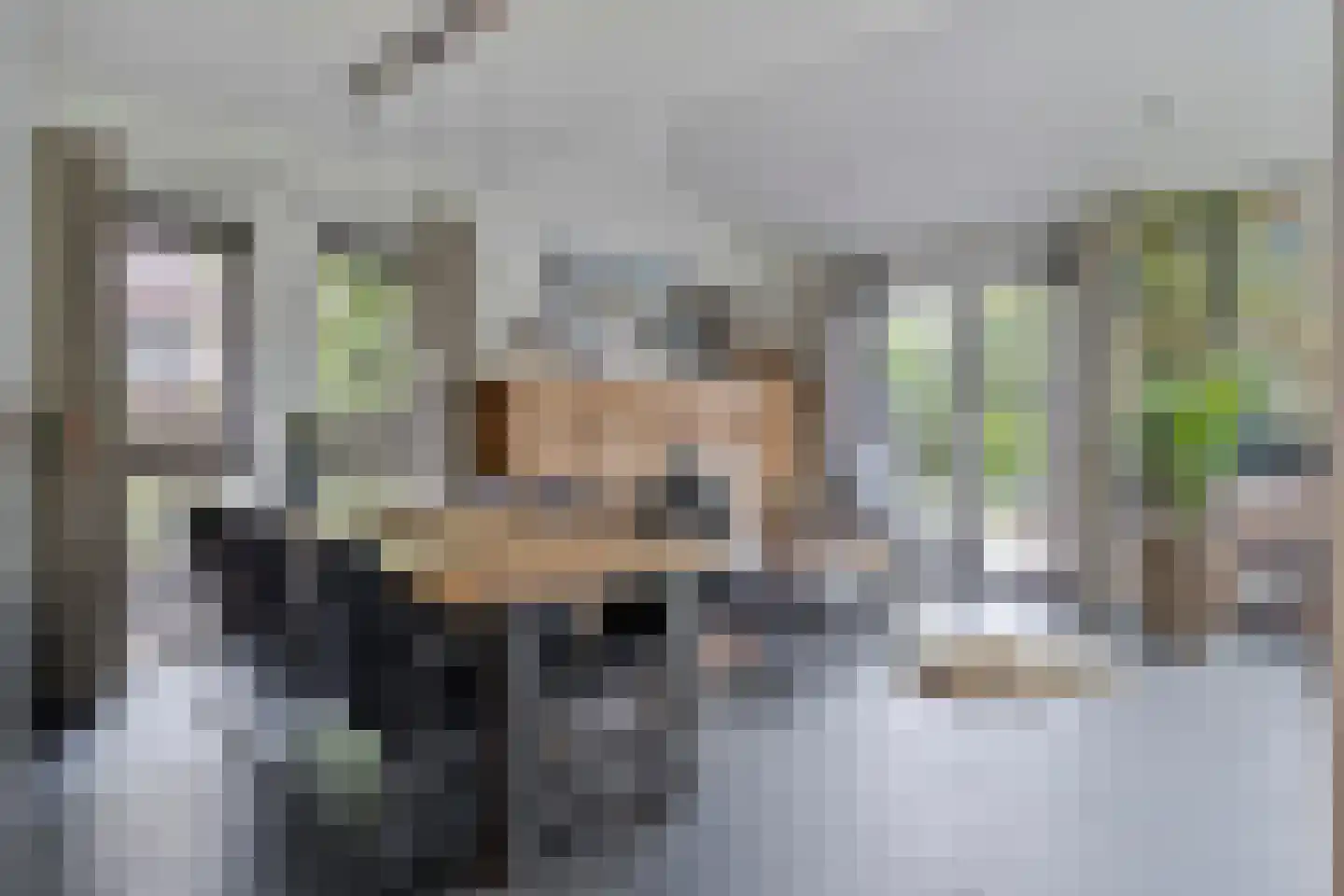 Eikenlaan 54 Koewacht thumbnail 21