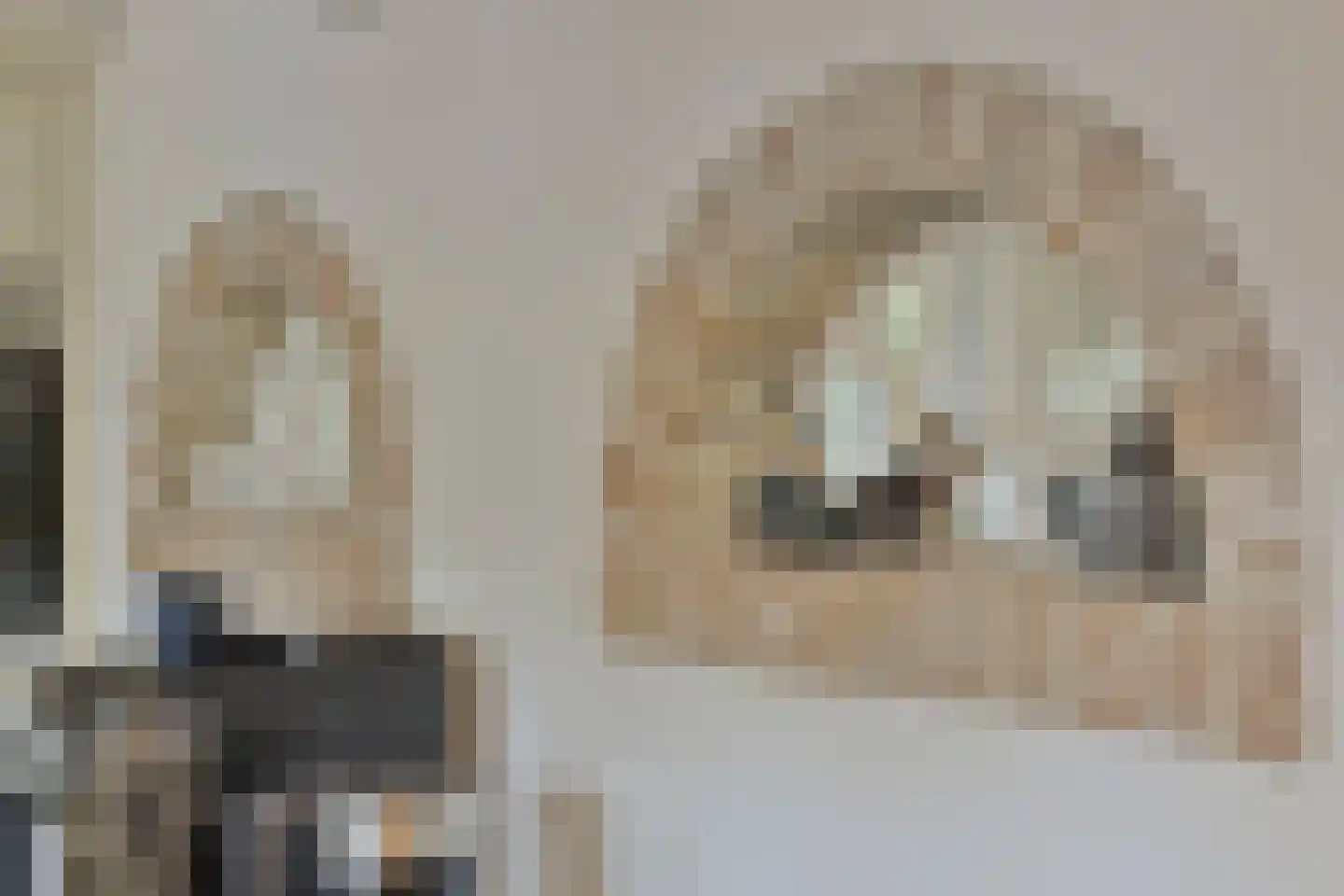 Eikenlaan 54 Koewacht thumbnail 30