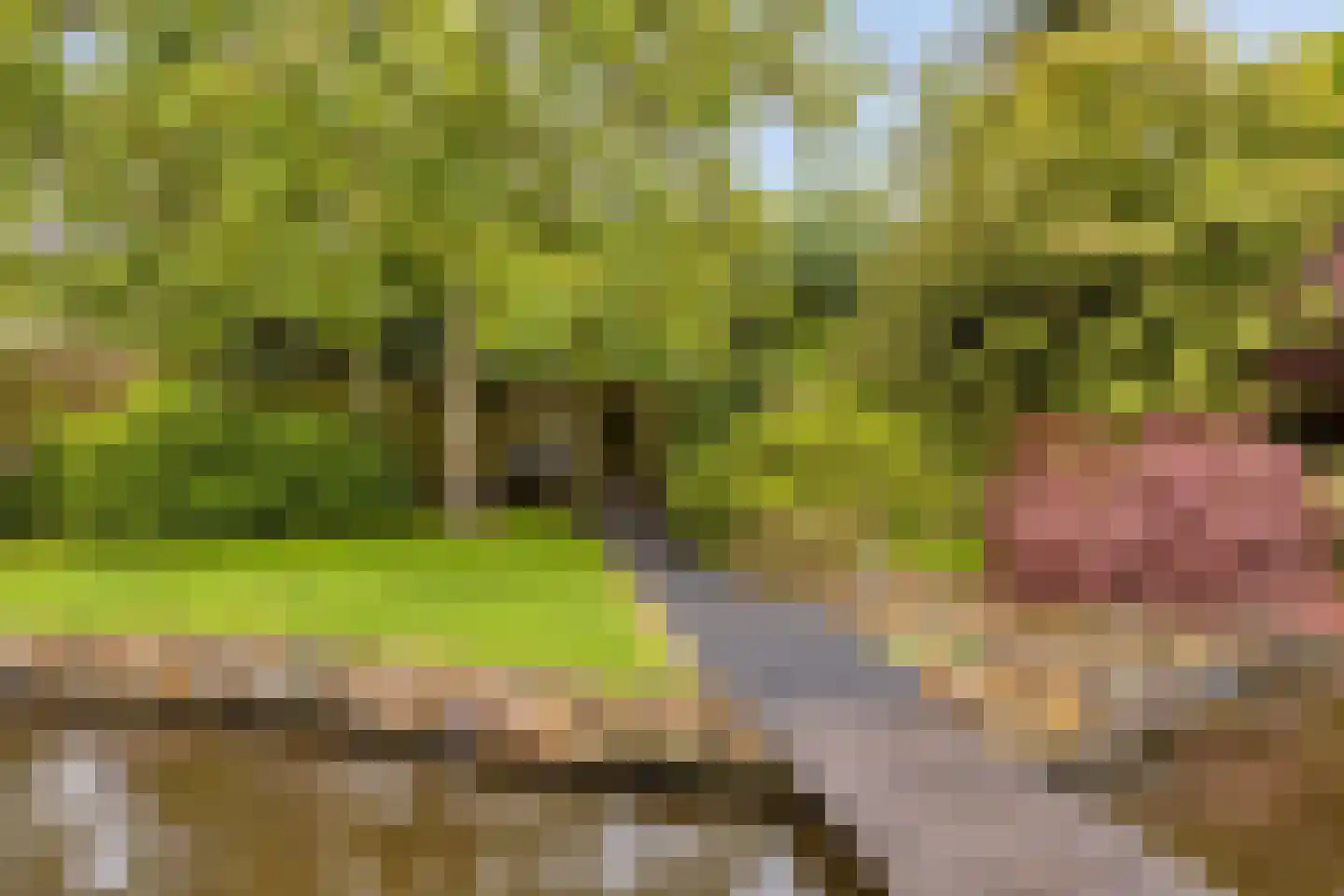 Eikenlaan 54 Koewacht thumbnail 52