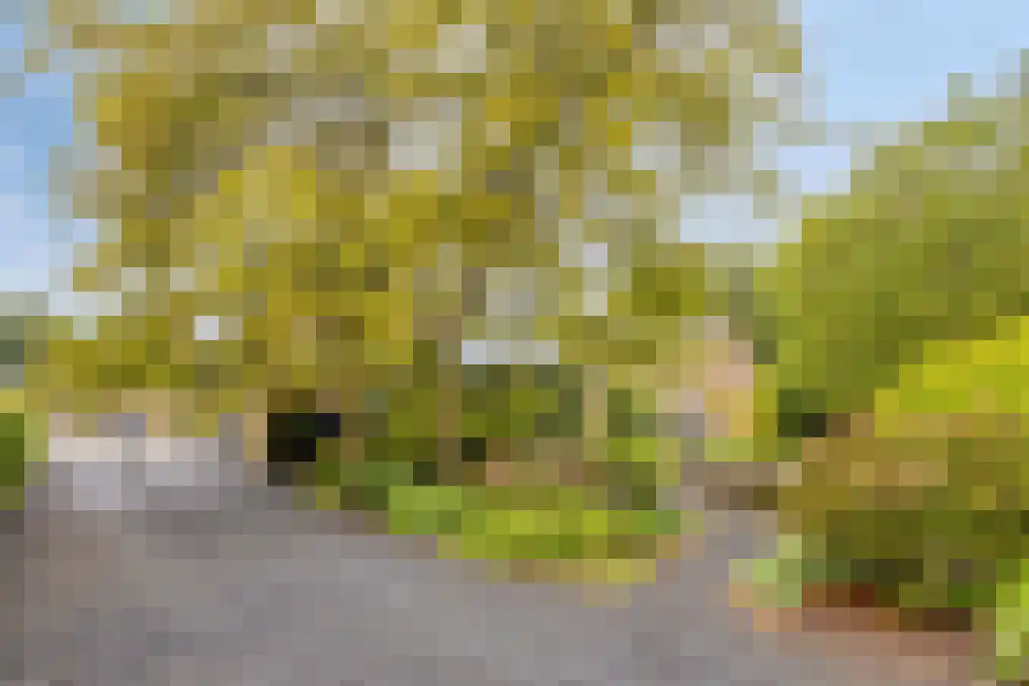 Eikenlaan 54 Koewacht thumbnail 54