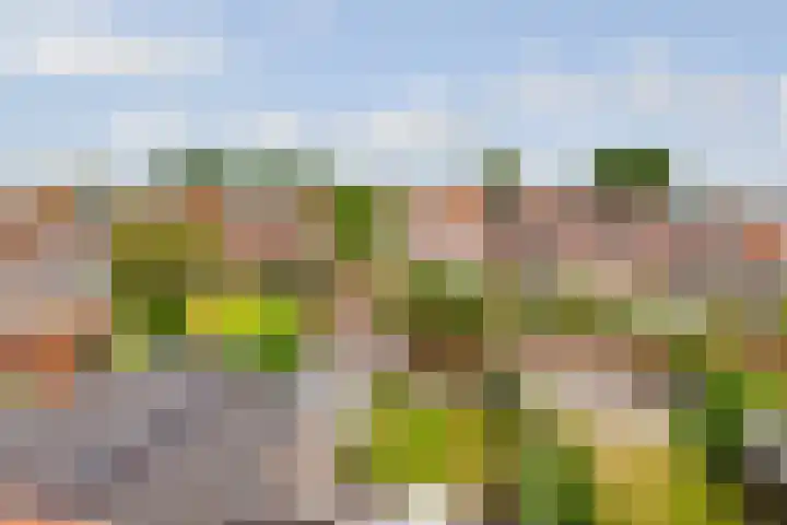 Eikenlaan 54 Loosdrecht thumbnail 35