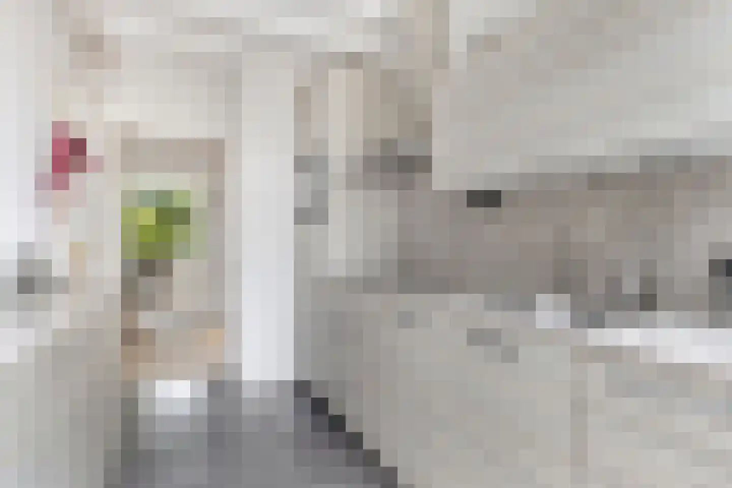 Eikenlaan 55 Scherpenzeel thumbnail 13