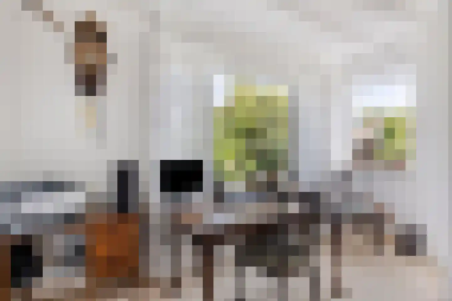 Eikenlaan 55 Scherpenzeel thumbnail 15