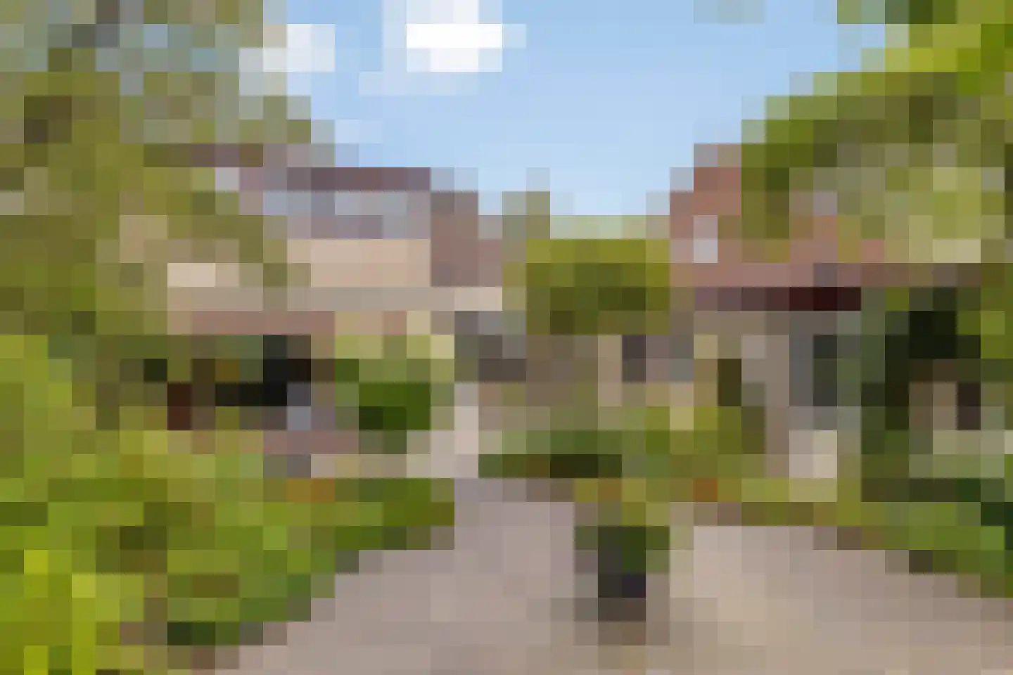Eikenlaan 55 Scherpenzeel thumbnail 27