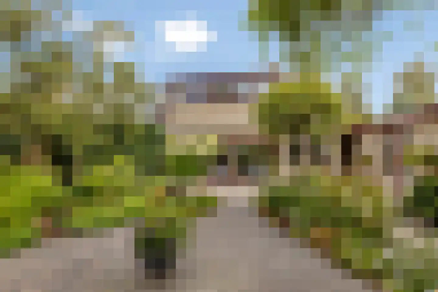 Eikenlaan 55 Scherpenzeel foto 3