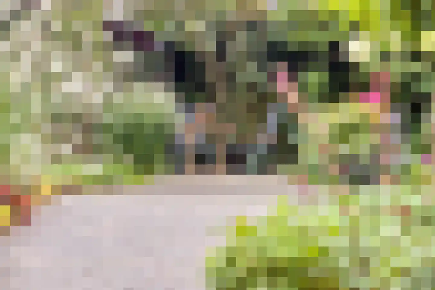 Eikenlaan 55 Scherpenzeel thumbnail 30