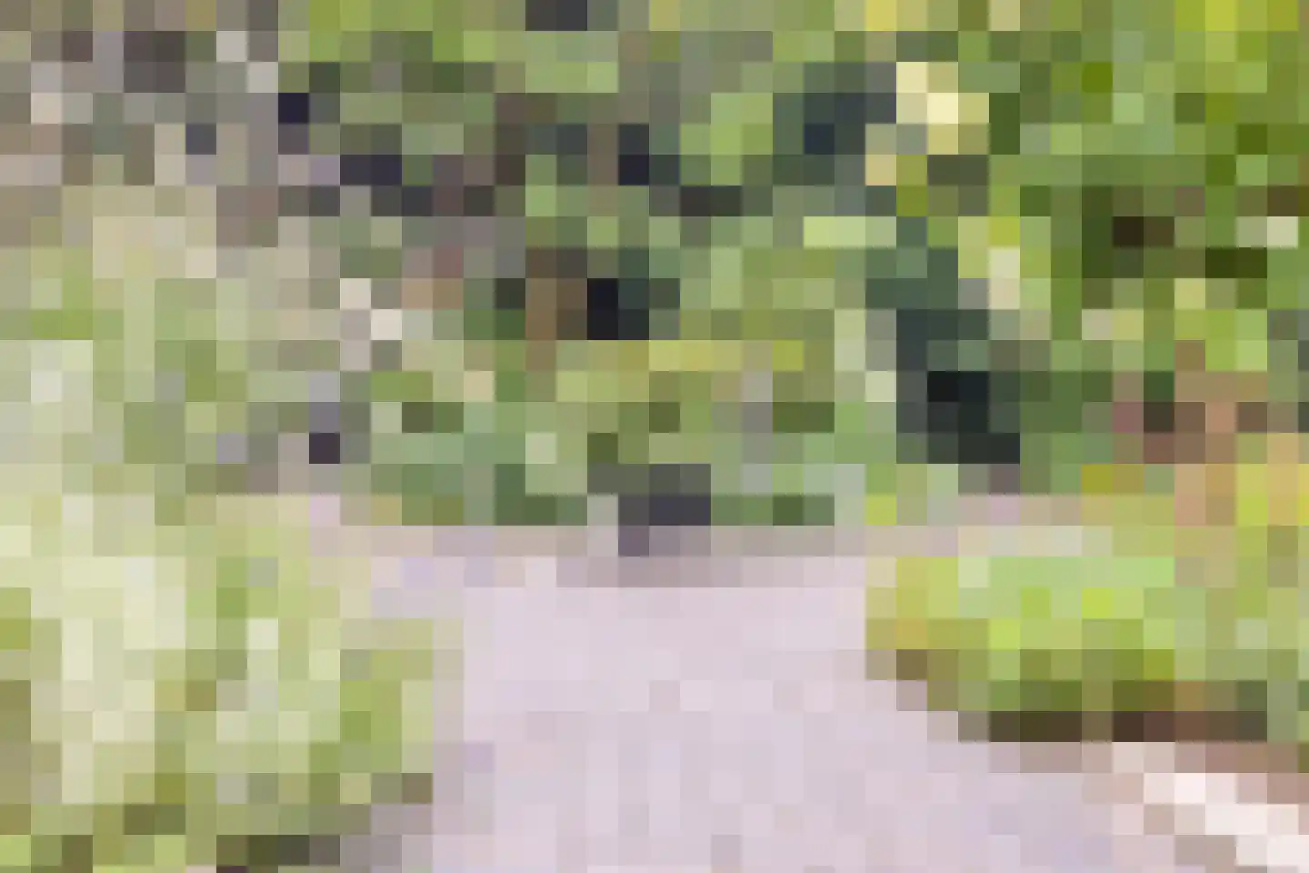 Eikenlaan 55 Scherpenzeel thumbnail 32